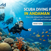 scuba diving packages in Andaman Islands