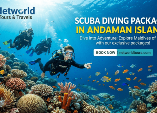 scuba diving packages in Andaman Islands