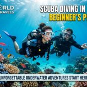 Scuba diving in Andaman price for beginners