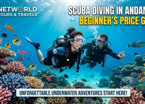 Scuba diving in Andaman price for beginners